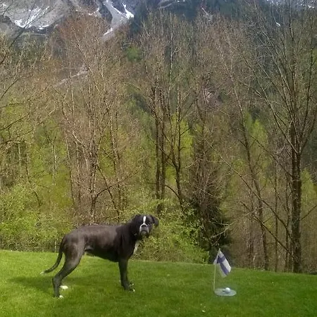 Dolomiti House *
