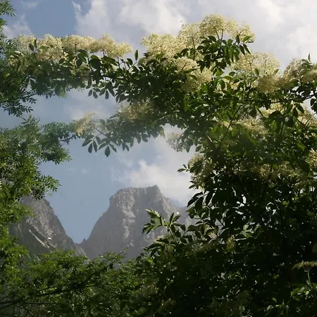 Dolomiti House 4* Cibiana