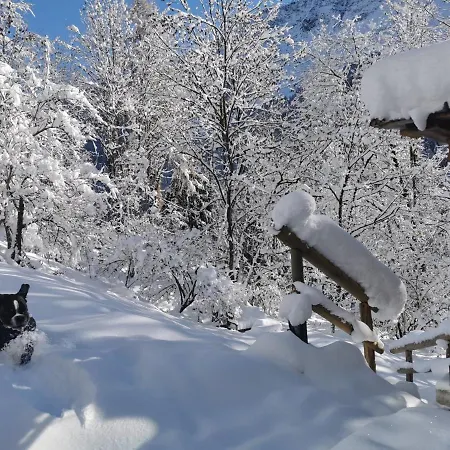 Casa de hóspedes Dolomiti House 4*