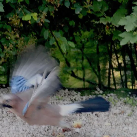 Casa de hóspedes Dolomiti House 4*