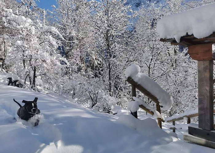 게스트하우스 Dolomiti House 4*