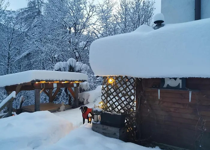 Dolomiti House 게스트하우스 4*