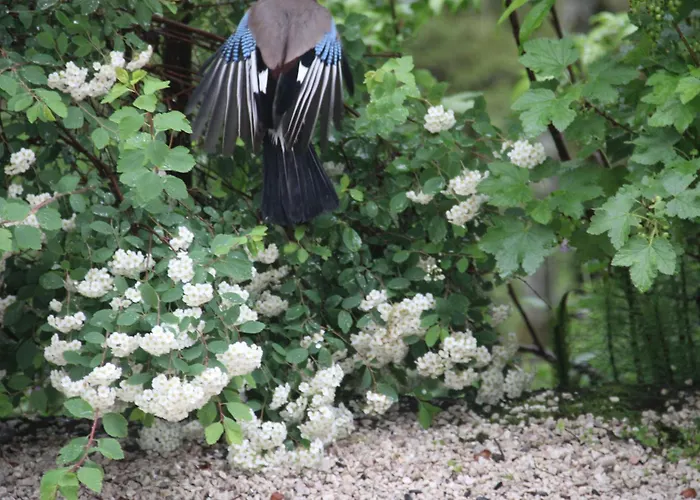 Dolomiti House 씨비아나