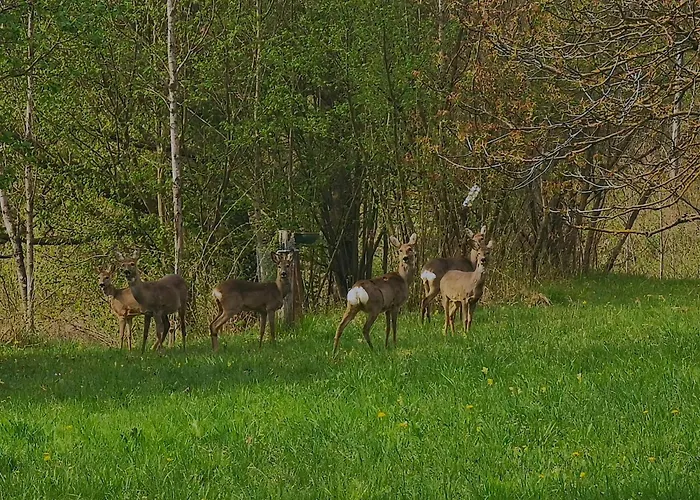 Dolomiti House 씨비아나