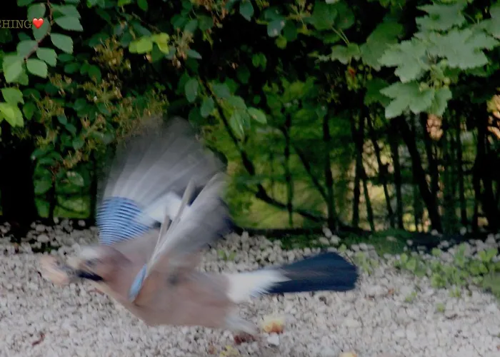 게스트하우스 Dolomiti House 4*