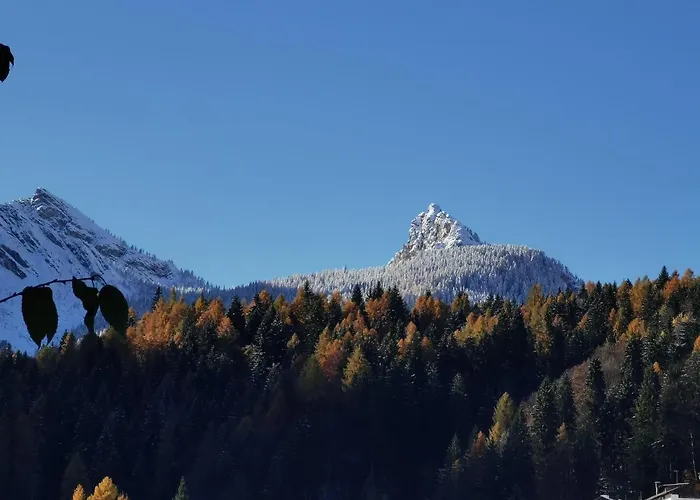 Dolomiti House 게스트하우스 씨비아나